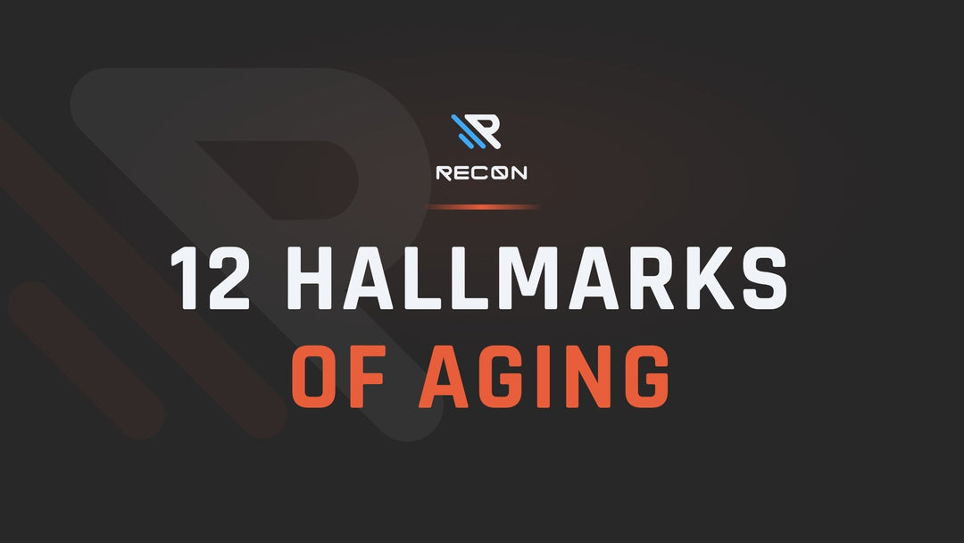 RECON article title card: 12 Hallmarks of Aging