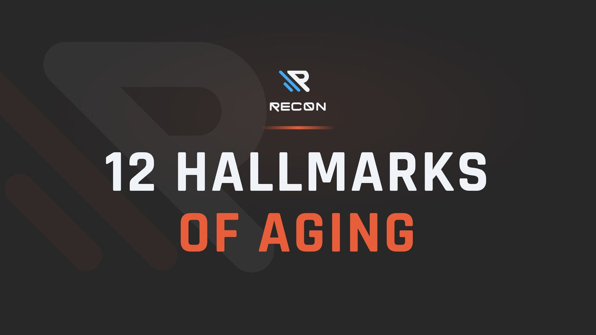 RECON article title card: 12 Hallmarks of Aging