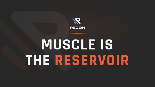 Muscle Is Your Reserve: The Case for Building It Before You Need It