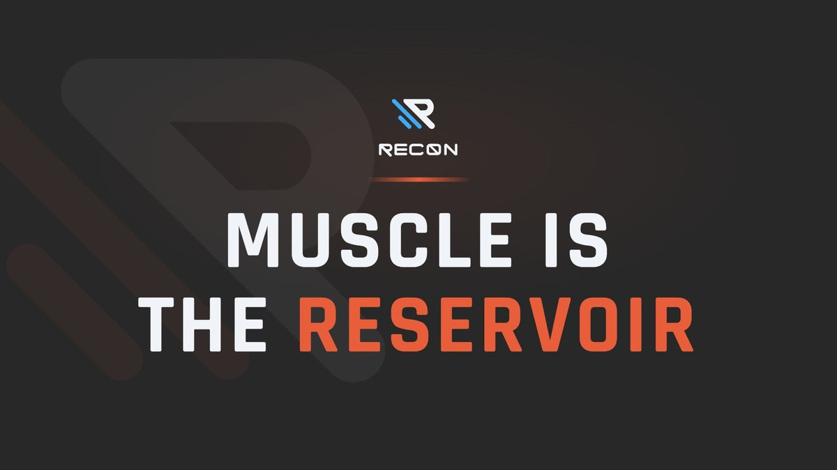 RECON article title card: Muscle Is Your Reserve