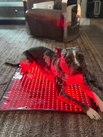 RESTORE Lumi-Paws  Red Light Therapy Mat